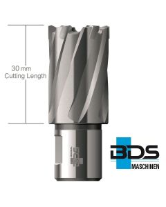 Kroonpuur kõvasulam 20mm pikkus 30mm Weldon 1